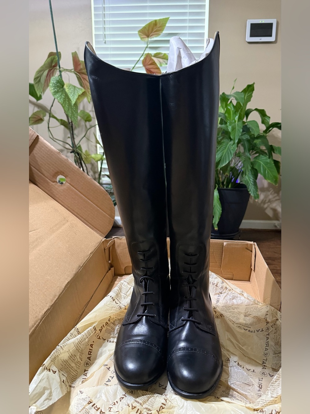 NEW Ariat Quantum Crowne Pro Field Zip Tall Riding Boots Black Leather